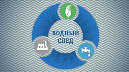 Всероссийский экологический  урок «За чистое будущее оз. Байкал».